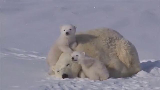 10373918 781689585188795 1269060395 n смотреть онлайн