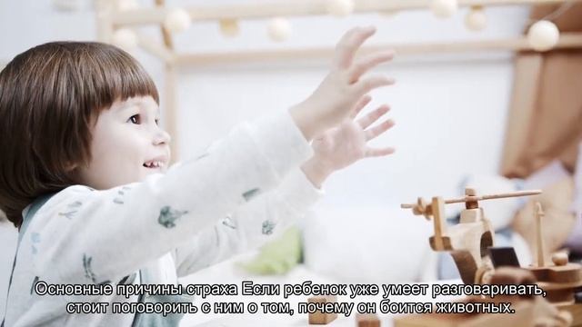Что делать, если ребенок боится животных. Развитие и воспитание детей #1219 смотреть онлайн