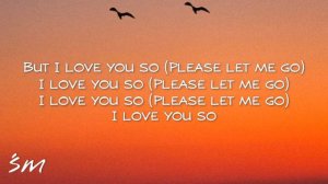 The Walters - I Love You So (Lyrics) | I love you so (Please let me go)