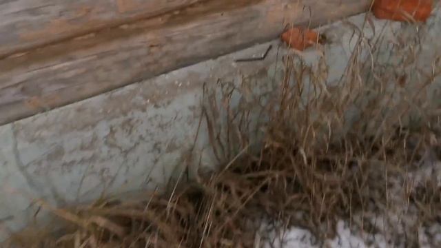 Маленькое путешествие на буханке | VLOG