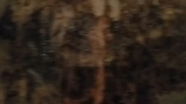 Изовер утеплитель смотреть онлайн