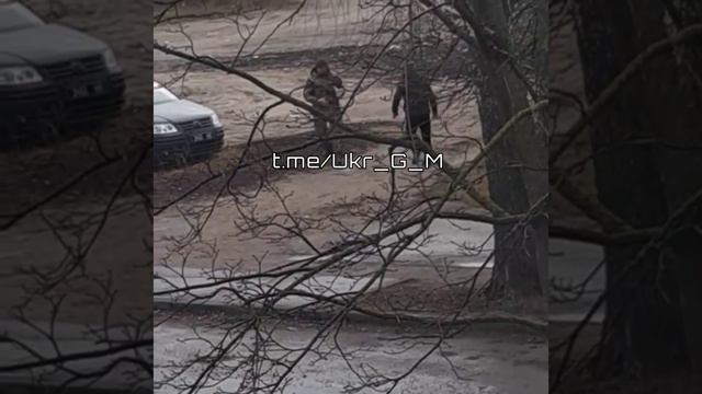 Мобилизация по украински. Бей своих чтоб чужие боялись смотреть онлайн