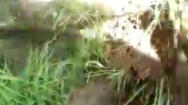 металлодетектор 3 тест смотреть онлайн