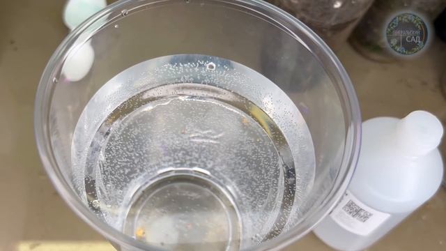 Срочно Дайте Эту Подкормку После Всходов Томатов, Перца! Будет Крепкая и Здоровая Рассада! смотреть онлайн