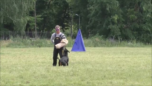 Сдача IGP-1, защита.mp4