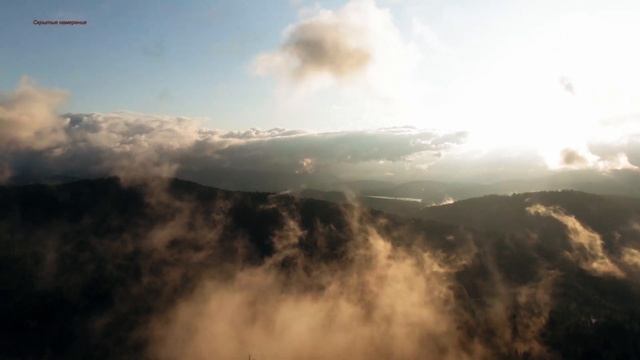 ОЩУЩЕНИЕ НЕЛОВКОСТИ