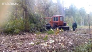Мульчер  на базе трактора ДТ-75 для удаления деревьев и пней