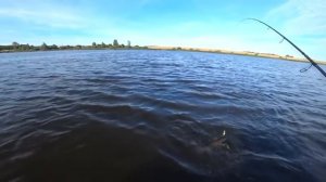 Секретные проводки блесен. Ловля щуки на блесну