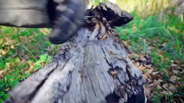Сеть магазинов "Клёвый" - "Лето" смотреть онлайн