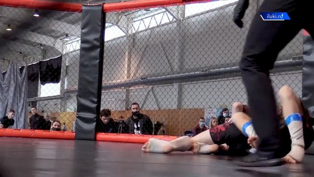 Турнир по ММА памяти Героя Советского Союза А. Матросова провели в СК "Стрелец" смотреть онлайн