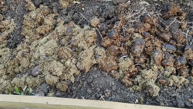 Какой навоз лучше - конский или коровий? Сравниваем эти виды навоза. смотреть онлайн