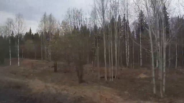 Синдор - Княжпогост из окна поезда 14.05.2022 смотреть онлайн