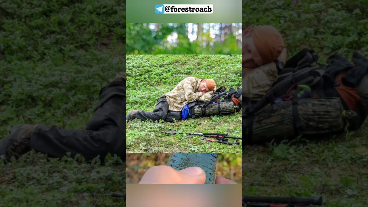 3 ГЛАВНЫХ ПРИНЦИПА ПОДБОРА СНАРЯЖЕНИЯ! #выживание #survival #бушкрафт #forest #bushcraft смотреть онлайн