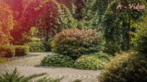 ?50+Оригинальных ландшафтных композиций для загородного участка / Ideas for a garden plot/ A - Vide