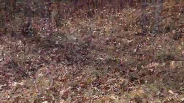 Lots And Land for sale - 00 Magnolia, Westminster, SC 29693 смотреть онлайн