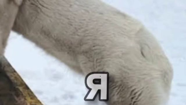 я видел сон, где ты моя.... смотреть онлайн