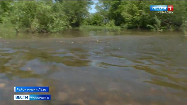 Поля с пшеницей, овсом и соей затопило в районе имени Лазо Хабаровского края смотреть онлайн