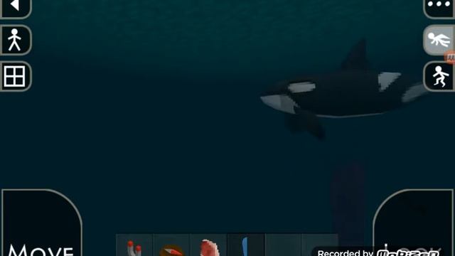 Survivalcraft. Киты и касатки