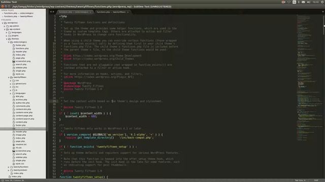 Crear theme wordpress añadir scripts al functions смотреть онлайн