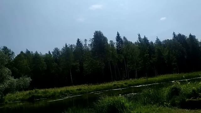 Некоторые жабы -считают себя царевнами-премудрыми)))). смотреть онлайн