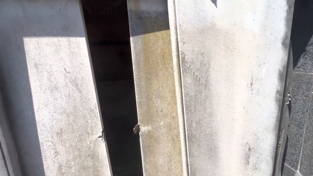 Тебе это не понравится! Не умирай в Латинской Америке! смотреть онлайн