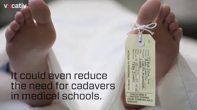 ?  Тонкости анатомии человека с помощью голограмм. | НАУКА 4.0