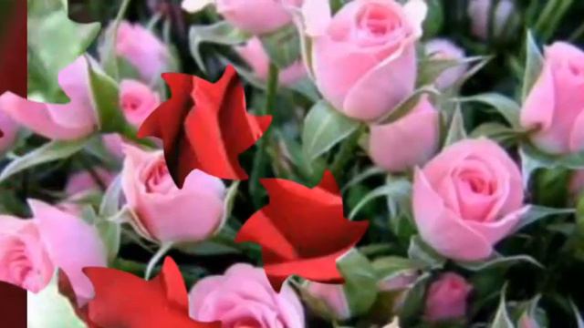 Для мамы. Не спит только мама.  На улице тишина. 