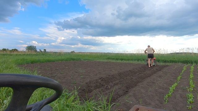 как ОКУЧИВАТЬ КАРТОФЕЛЬ мотоблоком дисковыми ОКУЧНИКАМИ смотреть онлайн