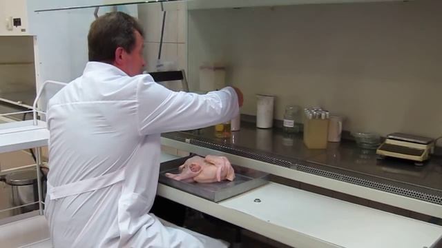 Анализ на сальмонеллёз