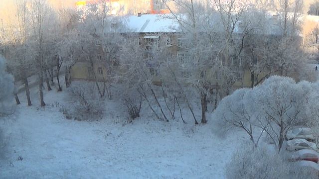 Снежные кружева. Собака Нюрка. 20 ноя 2022 смотреть онлайн