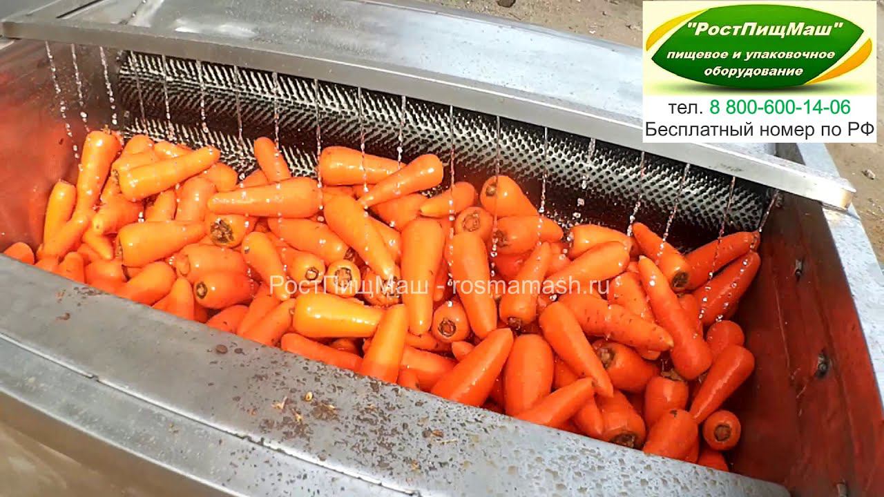 Мойка и полировка моркови на РПМ-МЧ-1000 от РостПищМаш смотреть онлайн