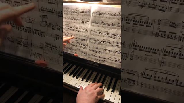 Beethoven Sonata op.13 Pathétique II- 1 Соната 8 Патетическая: пульс, артикуляция, динамика, форма смотреть онлайн