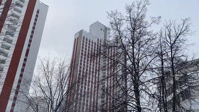 Обзор РАНХиГС (от Пронина Виктора)