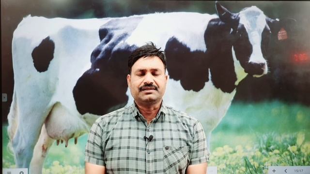 पशुओँ को मिनरल मिक्सर ऐसे देने से ही फायदा होगा Ramawat смотреть онлайн