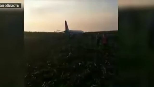 Cенсация века самолет упал в кукурузу и неразбилься смотреть онлайн