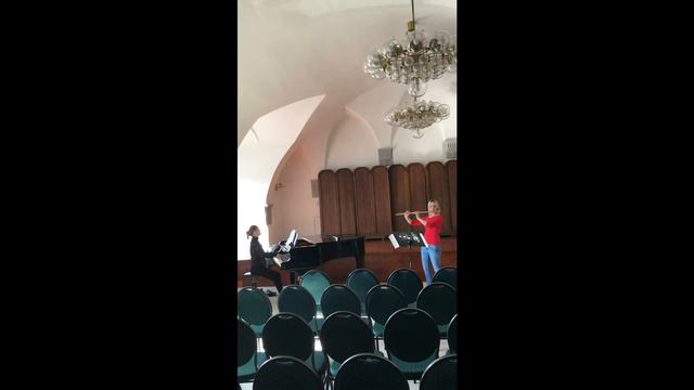 Saverio Mercadante - Flute concerto in e minor смотреть онлайн