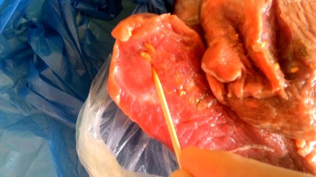 Паразиты в мясе говядины смотреть онлайн