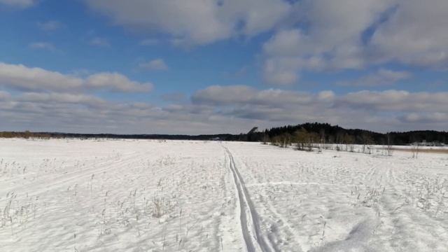 Болото-плывун, южный берег Кавголовского озера. 5.03.2021. смотреть онлайн