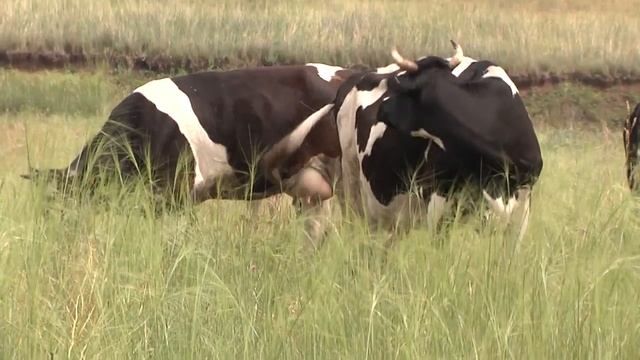 Агробизнес 23.06.2018