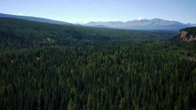 17 ноября 2023 г. смотреть онлайн