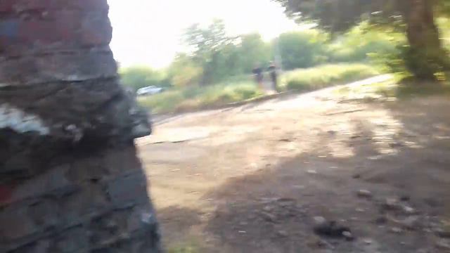 Карликовый пинчер смотреть онлайн