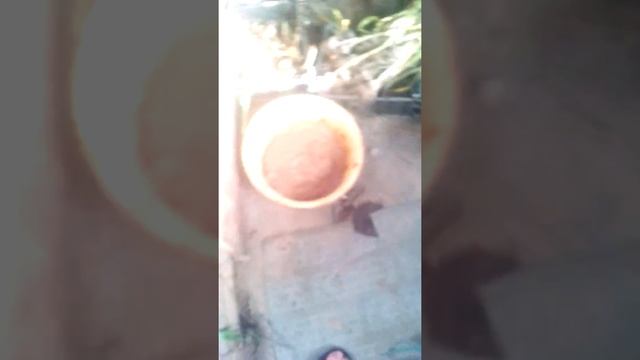 Раствор глины смотреть онлайн