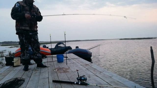 Дом на воде,а вокруг СОМЫ. смотреть онлайн