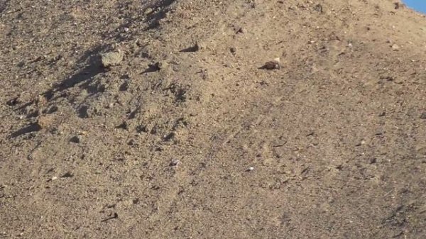 Песок карьерный - http://nachastroika.ru/sand.html