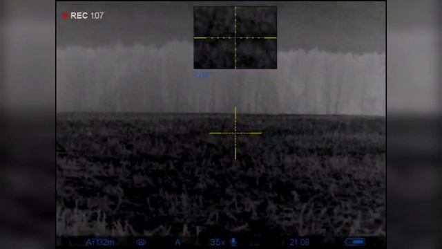 Ночная охота на хищника с подхода. Осень 2022. Сезон охоты 2022/2023. 366 ткм. Тк 518. смотреть онлайн