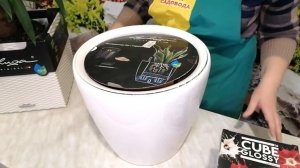 Супер КАШПО с АВТОПОЛИВОМ! Lechuza! Как пользоваться?