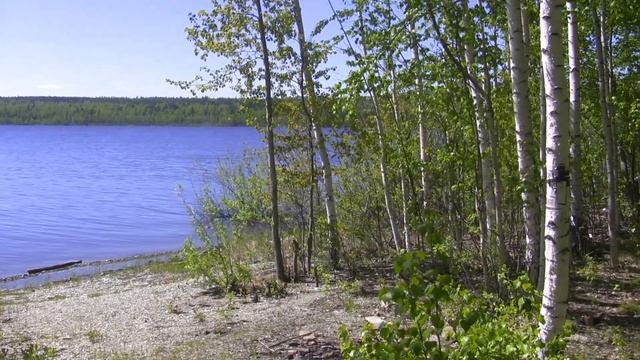 Лесные избы.Лесных жителей. смотреть онлайн