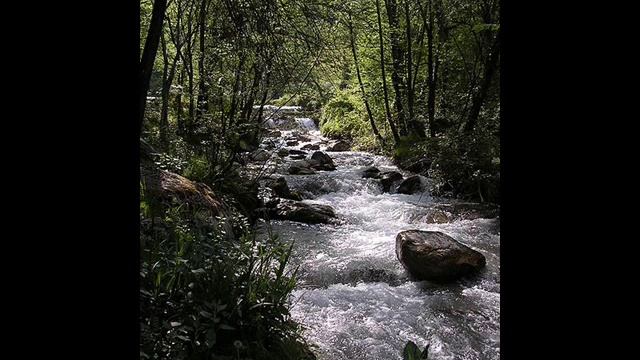 Sokolov - Chopin Mazurka op.30 n.2.wmv смотреть онлайн