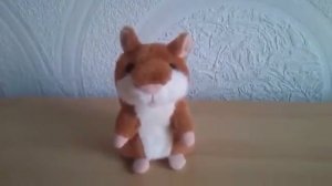 Говорящий хомяк, игрушка, обзор Хомяк повторюшка kidtoy in ua