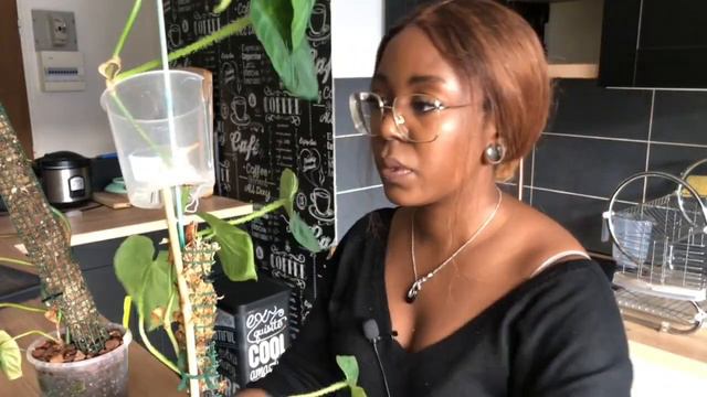 Bouture avec Moi : Mes différentes techniques de bouturages ! смотреть онлайн